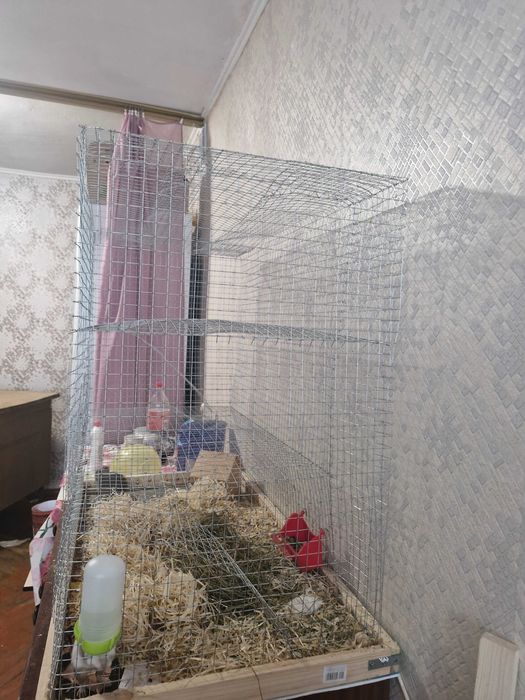 Клітка для б ілок дегу, шиншиил ц інших гризунів
