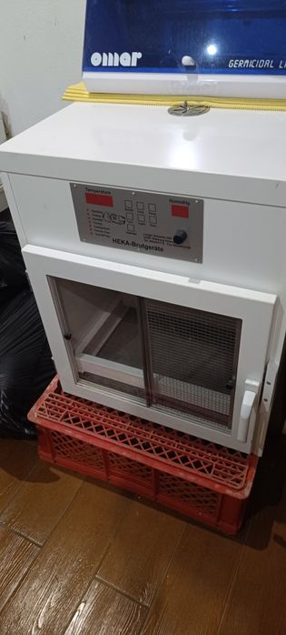 Maternidade profissional Heka