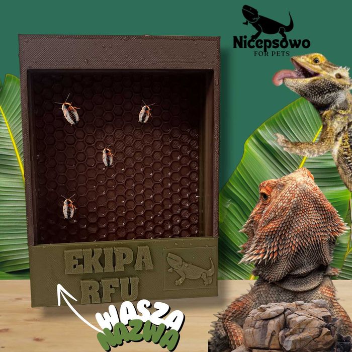 Personalizowany Karmnik v. M. dla małych gadów, Gady, terrarium