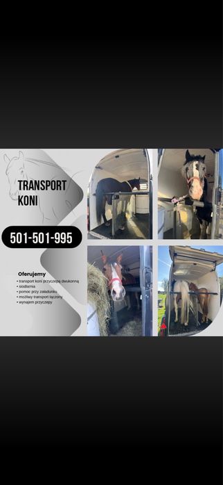 Transport koni 24/7 . Zapraszamy do kontaktu
