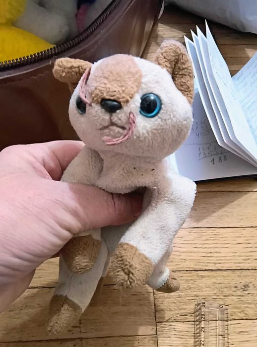 Продам котиків іграшкових