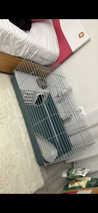 Vendo gaiola tudo incluído como na 3.ª foto/ Negociável