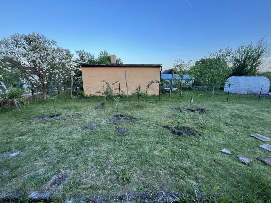 Działka ROD 322m² Jędrzychów – prąd, woda, studnia, pełne wyposażenie – gotowa od zaraz! - Widok 4