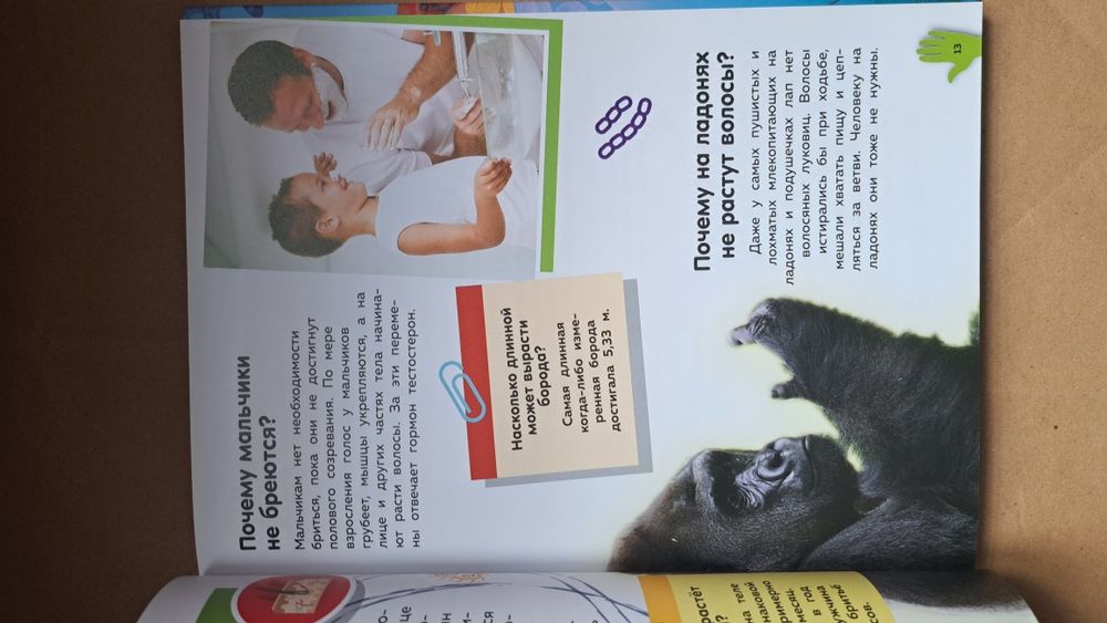 Путеводитель по телу человека/Вопросы и ответы