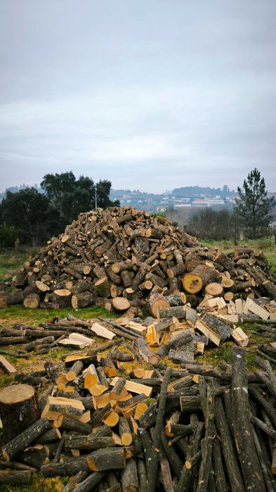 Limpeza de terrenos e jardins