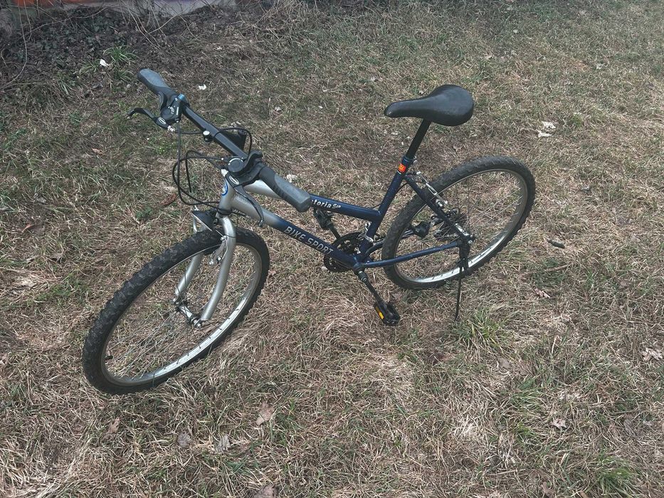 Rower Bike Sport Vicroria Eco