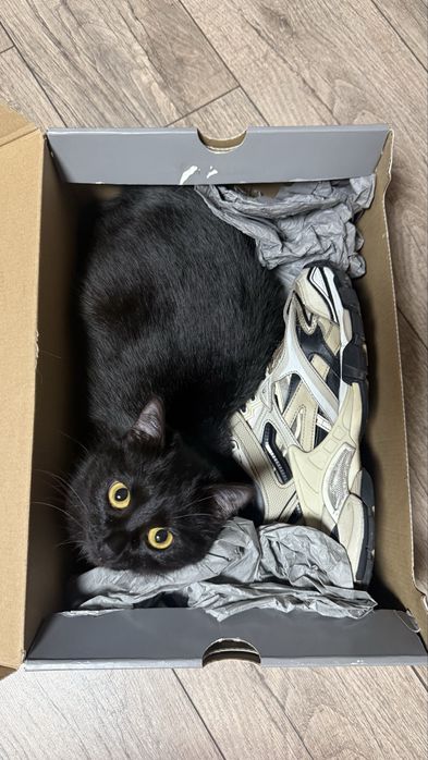 Balenciaga Track 2 beige black