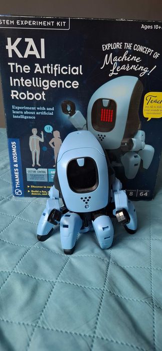 Inteligentny Robot KAI