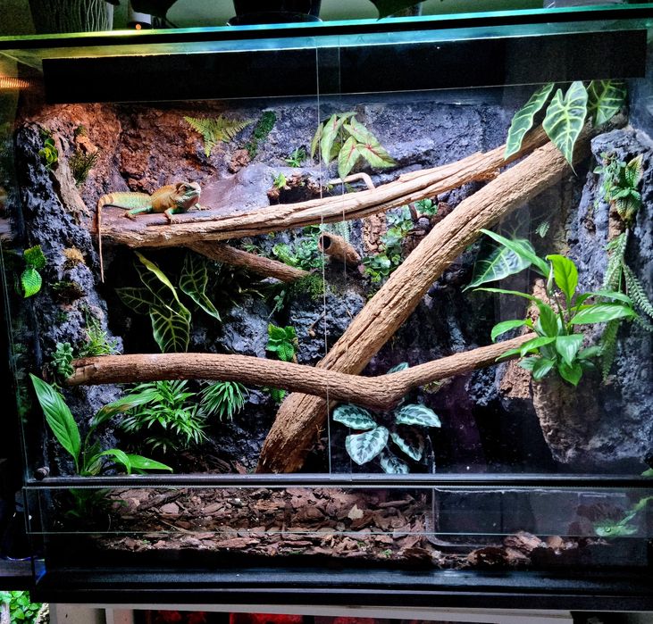 Duże terrarium + szafka