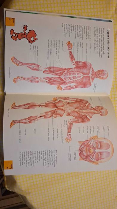 Coleção de livros Era uma vez O Corpo humano