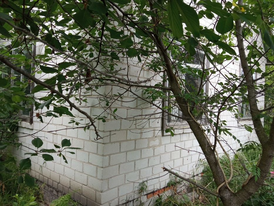 Продам будинок в садовому товаристві Чайка