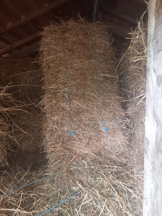 Vendo fardos 5 euros cada