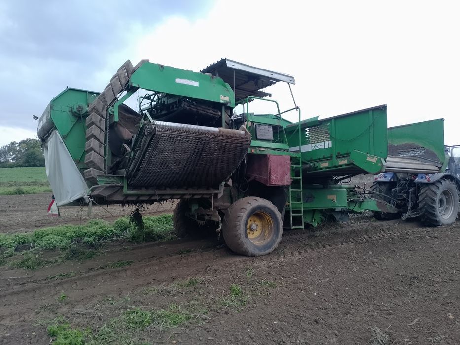 Kombajn dwurzędowy wuhlmaus 2733 Grimme Dr AVR nie Ropa ziemniaczany