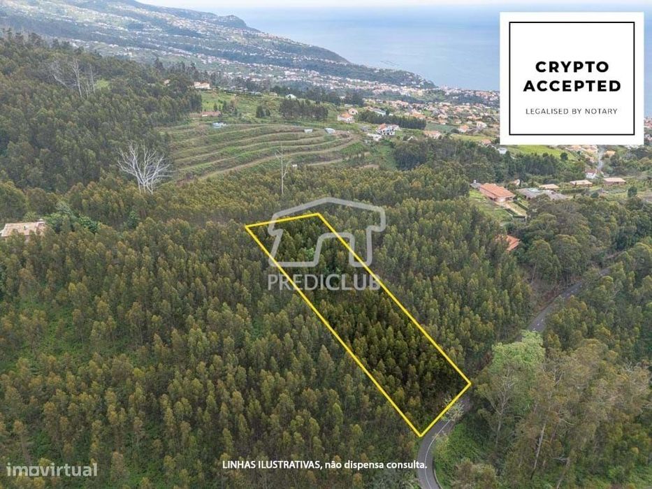 Terreno  889 m2 - Calheta