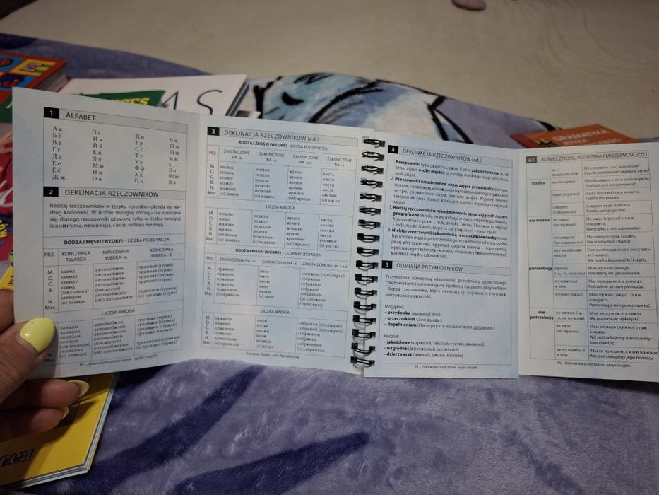 Gramatyka przejrzyście Język Rosyjski