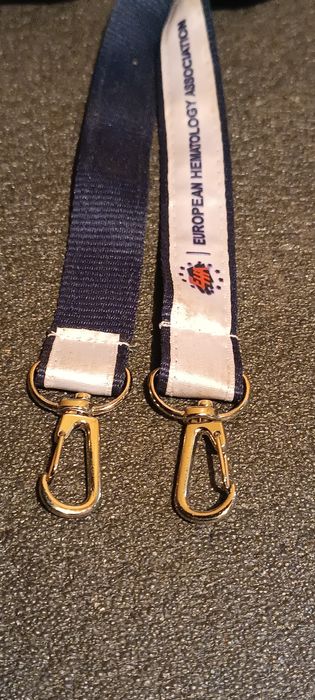 Ланьярд, бейджики.