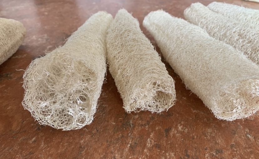 10 натуральних губок - люфа