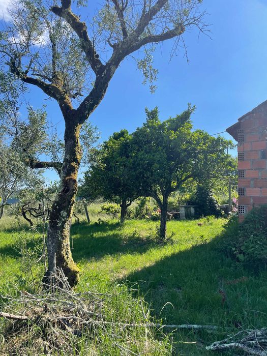 Terreno rústico com anexo