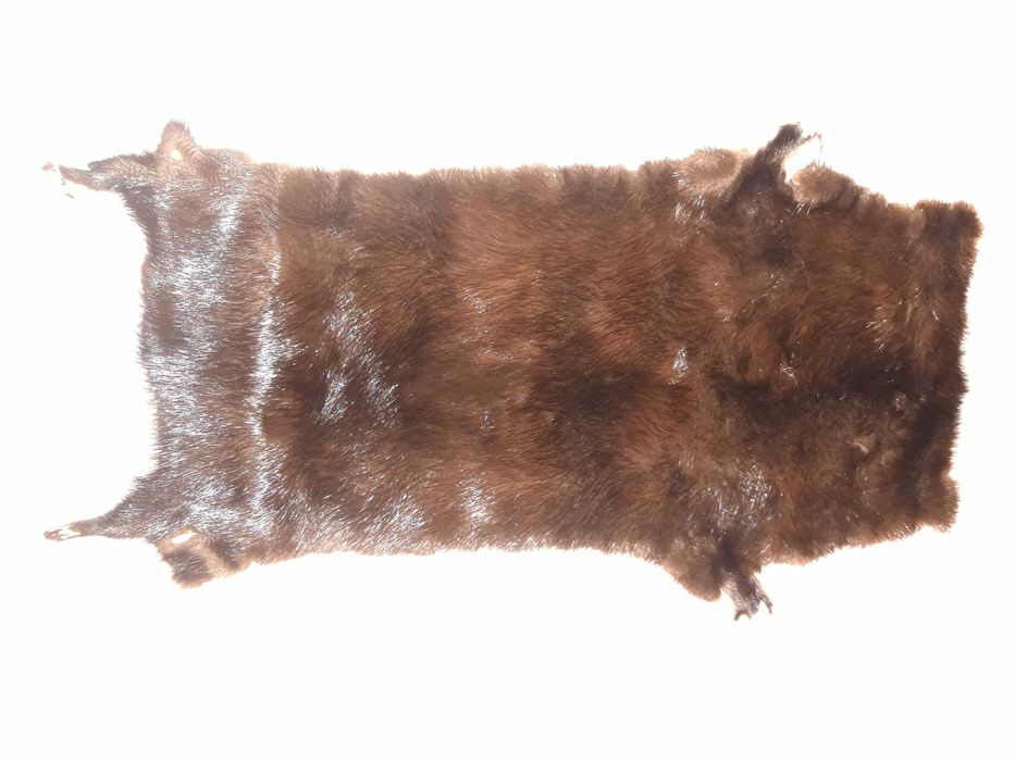 Норки шкурки отделанные