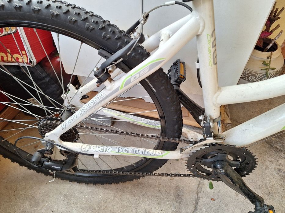 Bicicleta Dinamic Ds