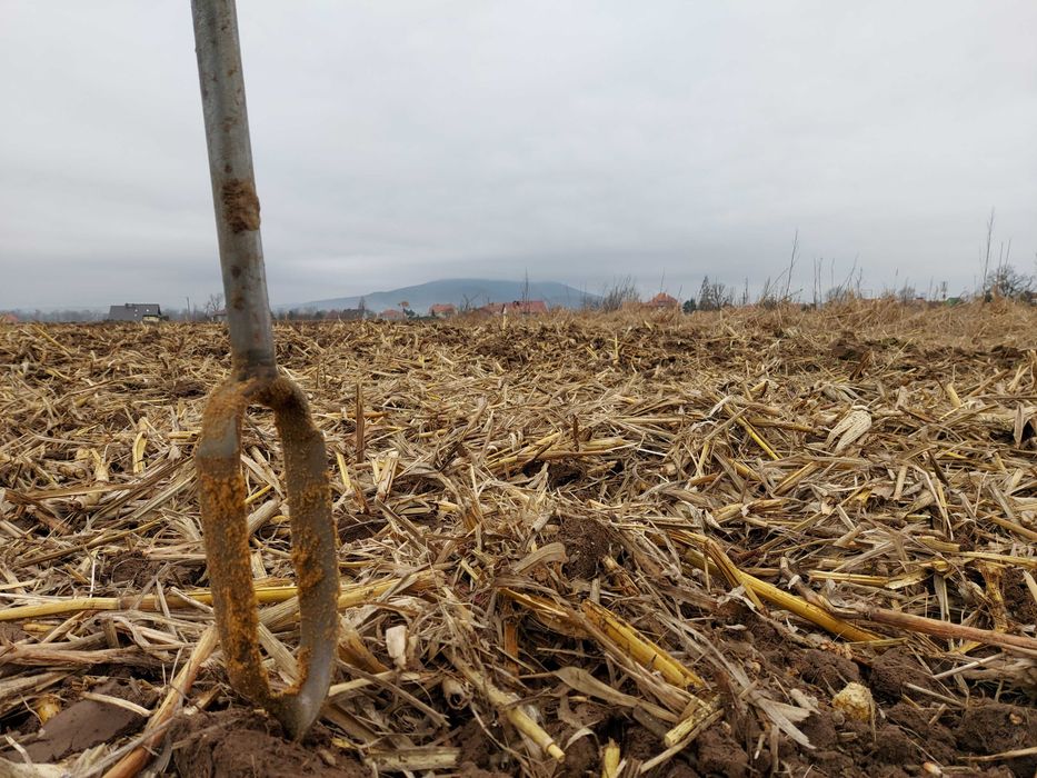 Geolog: Opinia geotechniczna, Odwierty, Badnia Gruntu, Hydrogeologia