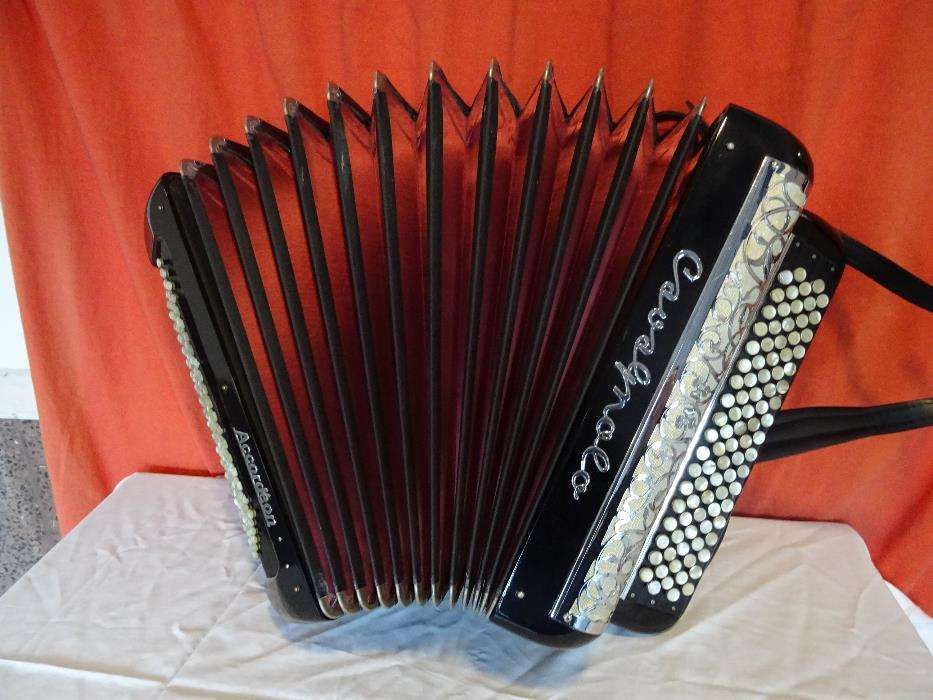 Acordeao Cavagnolo 4 Voz 120 Baixos N. 5