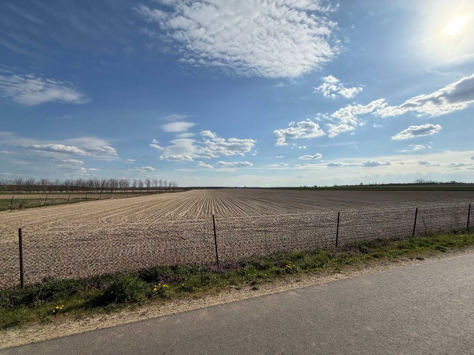 Działka rolna 4,85 ha | Pole orne | Droga asfaltowa