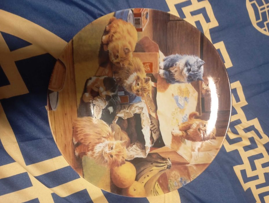 Talerze porcelana koty kolekcjonerskie 5 szt.