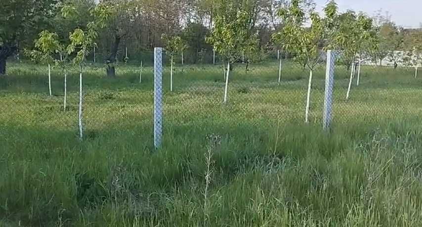 Земельна ділянка Пісчане.