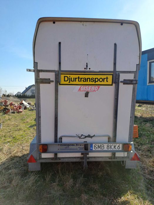 Przyczepa do koni