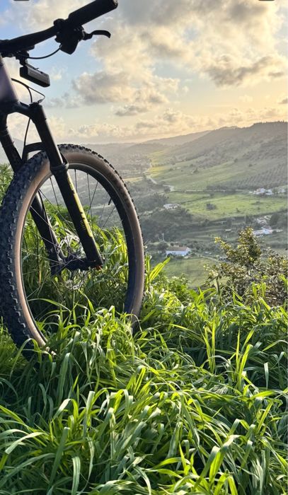 Scott Spark RC Team Issue AXS