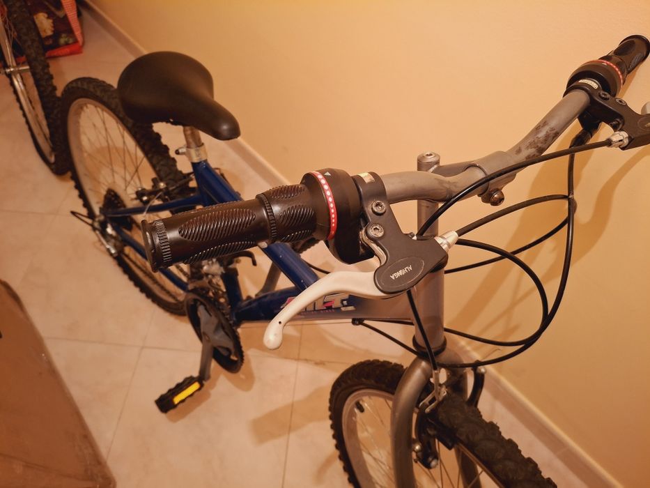 Bicicleta aduto 20'