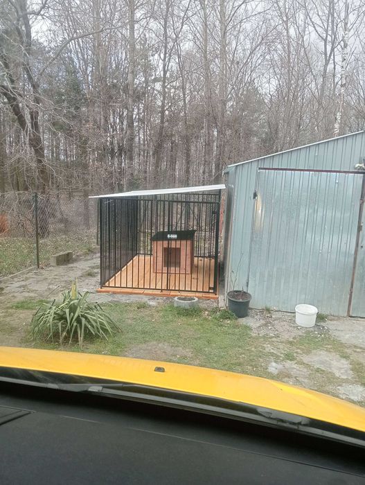 Kojec dla psa Kojec dla pupila Zakaz Łańcuchów