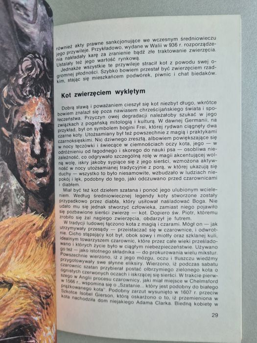 Persy, syjamy i dachowce - Książka