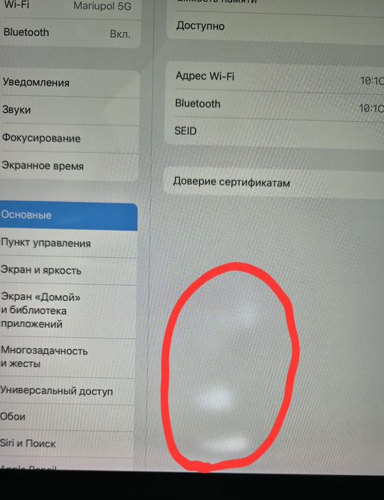 Apple iPad Pro 10.5" Wi-Fi 256Gb