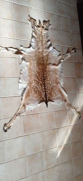 PELES De Coleção -  Vaca - Cabra - Gamo - Astrakan -  Raposa e Outras