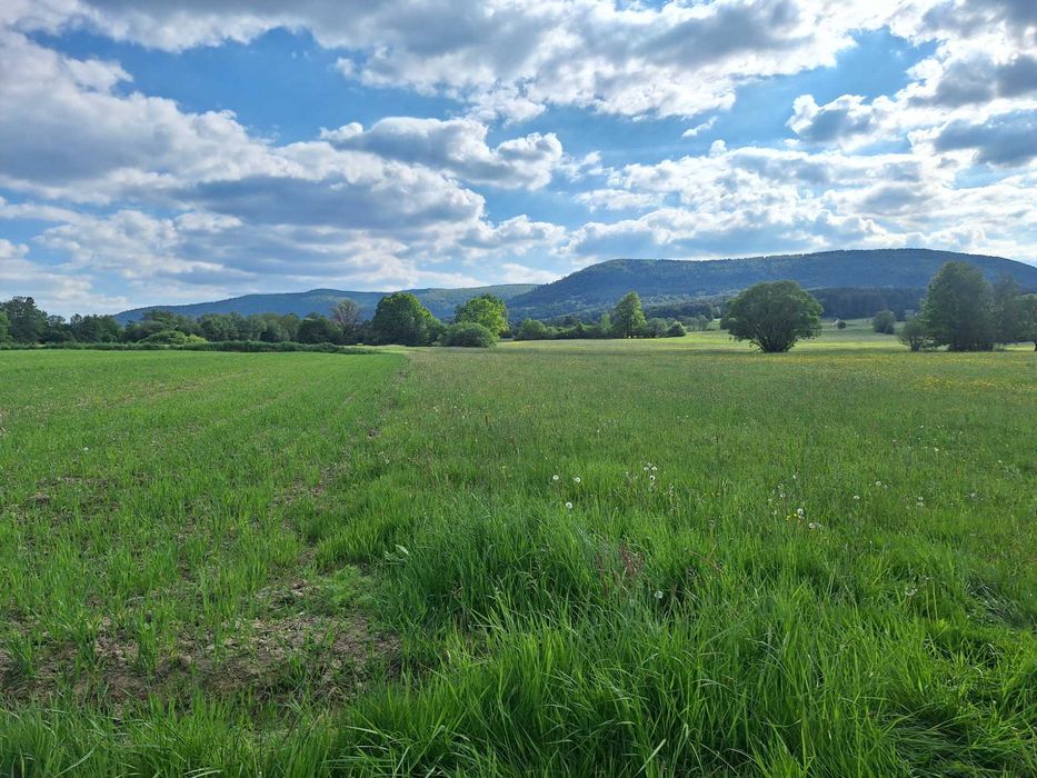 Działka rolno-budowlana
