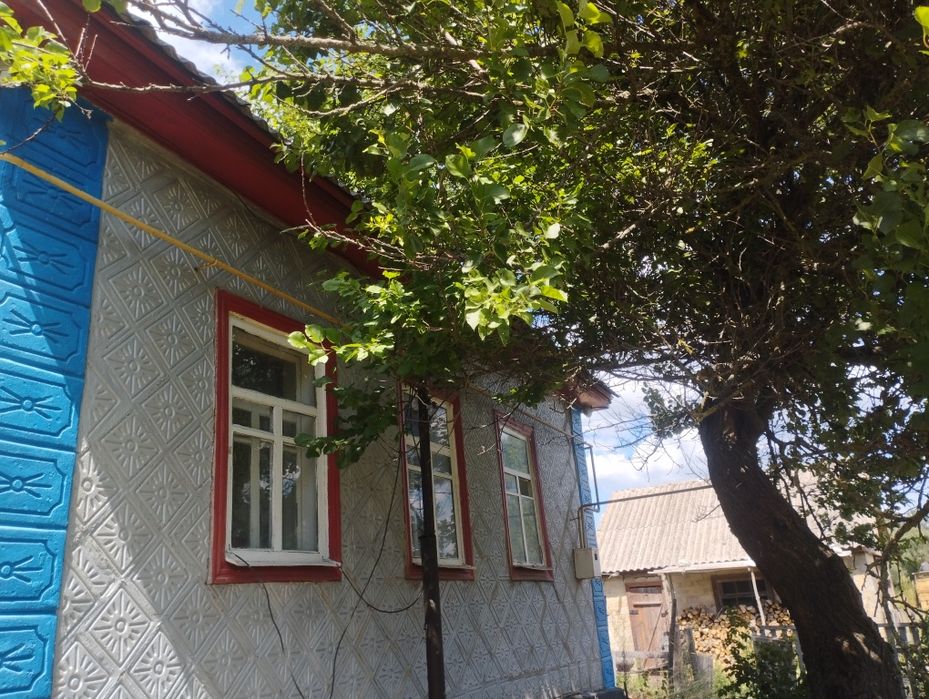 Продаж будинку с. Балаклея