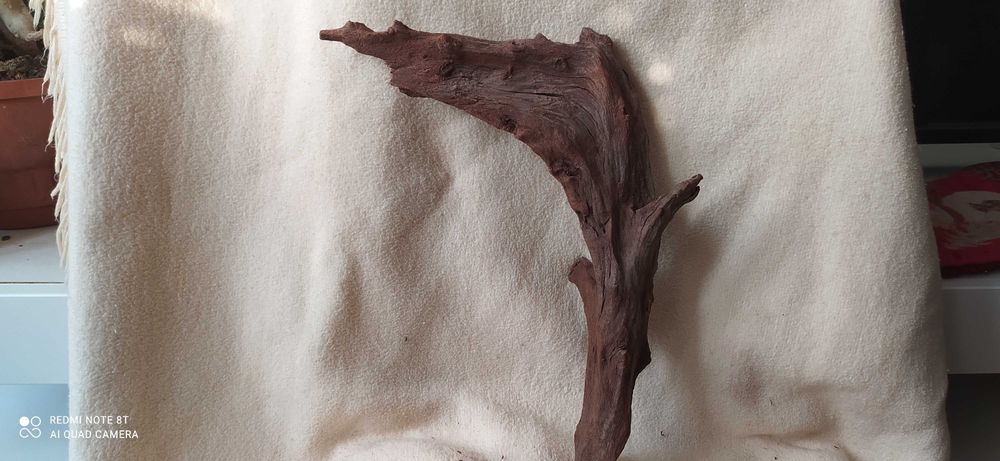 Korzeń 5 drift-36cm