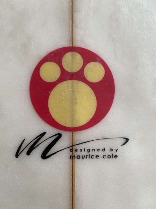 Prancha de Surf Rip Curl Raptor 6’6 shaped by Maurice Cole