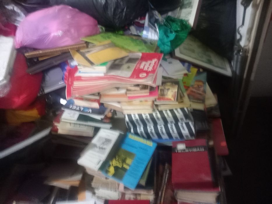 Grande lote de livros  1.500