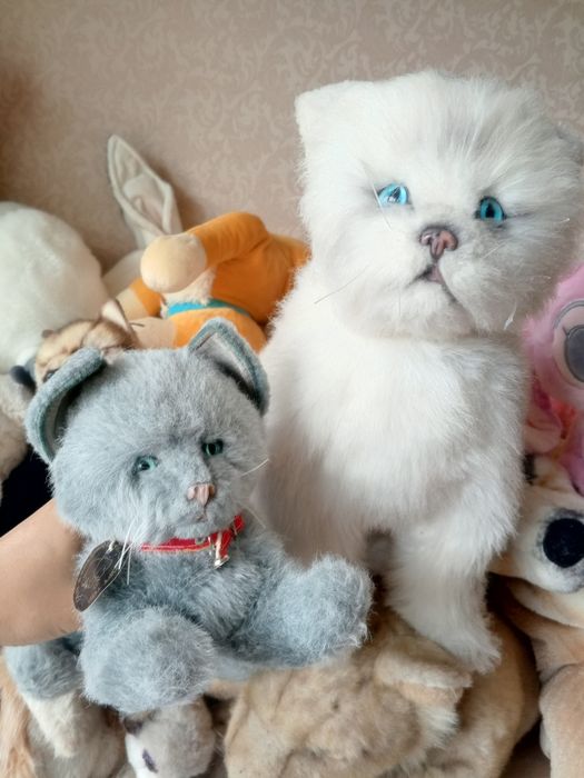 Колекційні іграшки Котики  Real soft toys