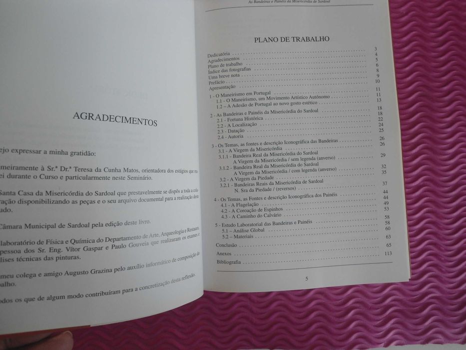 As Bandeiras e Painéis da Misericórdia do Sardoal de Francisco Valente