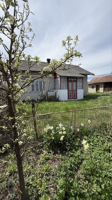 Будинок в с.Палагичі