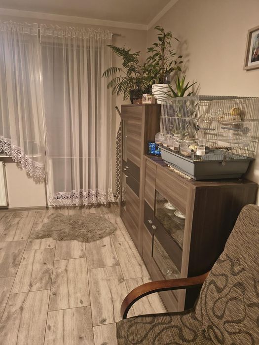 Wynajmę mieszkanie w centrum Zawiercia