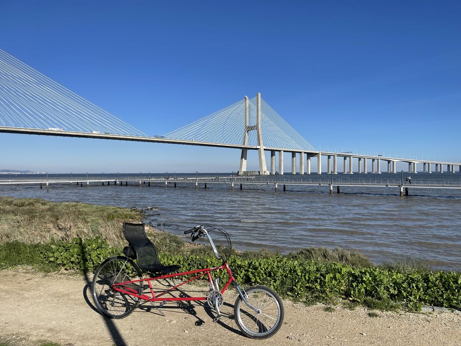 Bicicleta reclinada Easy Racer Tour easy