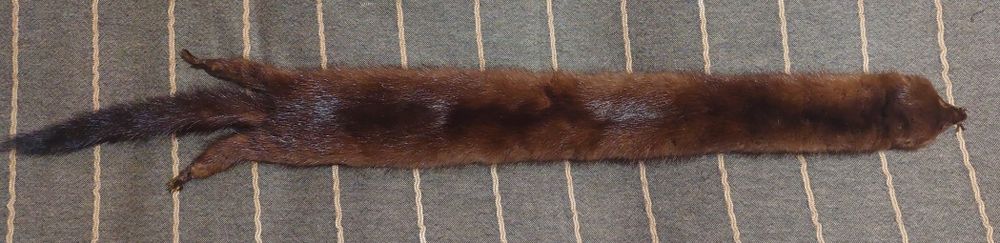 Várias estolas de pele verdadeira, raposa, marta e vison
