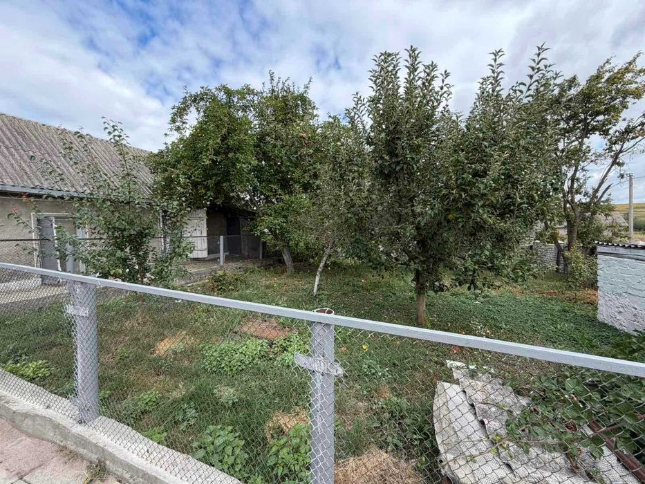 БУДИНОК У с. ДРУЖНОМУ | 25 соток | 110 М²