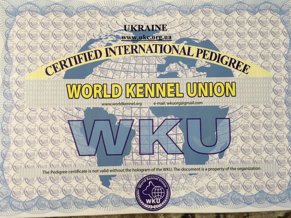 Кобель немецкой овчарки для вязки вязка собак Днепр: 1 000 грн. - В ...