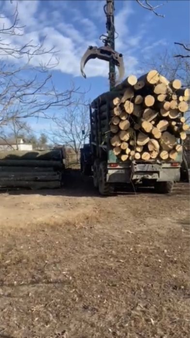 Продам дрова рубані,чурками 2000 грн. Тульчин